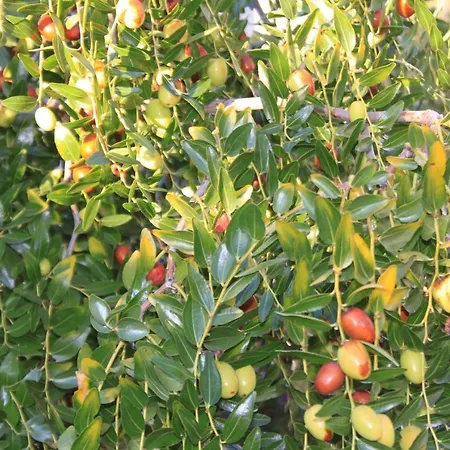 With Parking Space - 7207